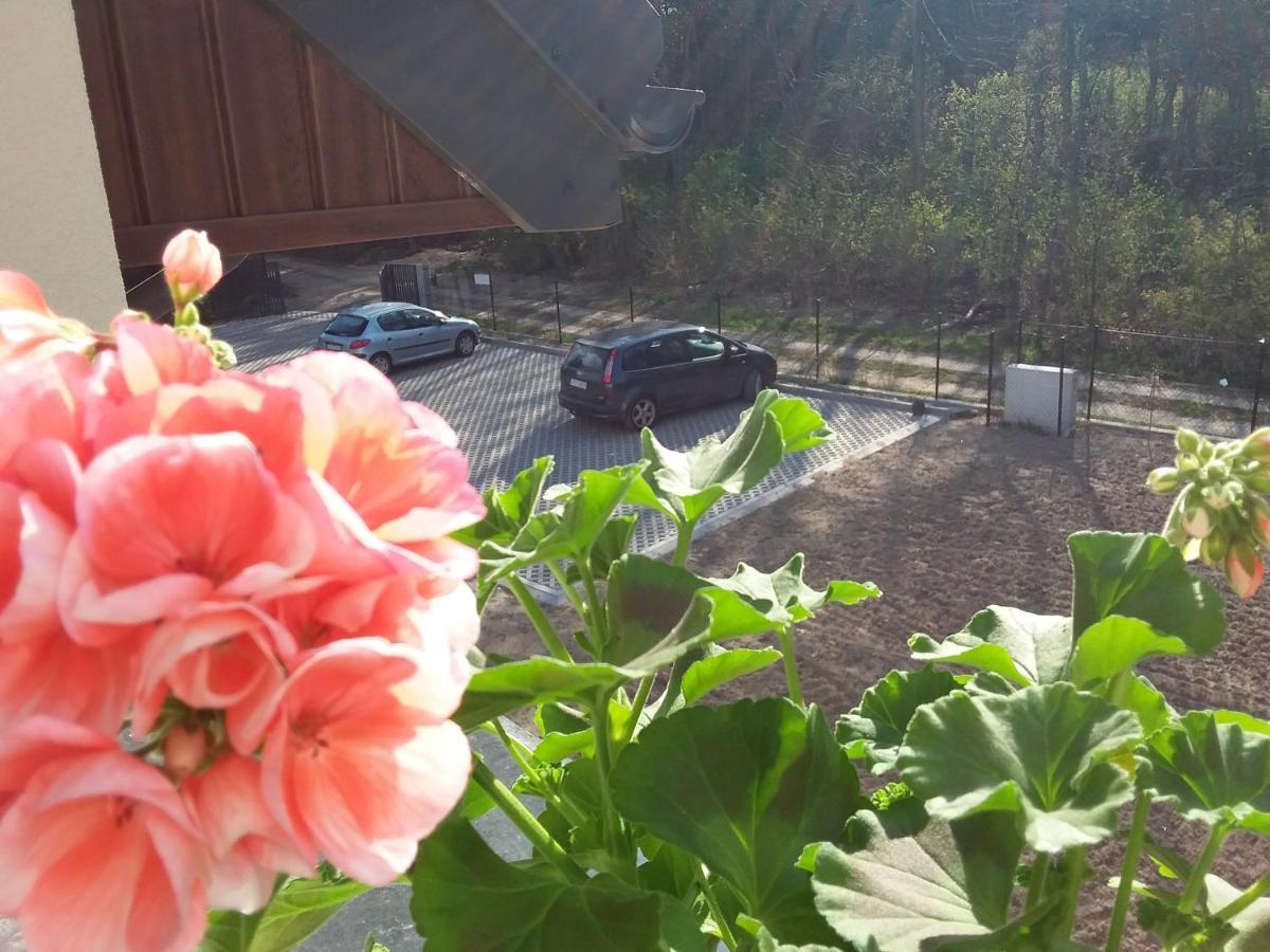 Dworek Akacja Uslugi Hotelarskie
